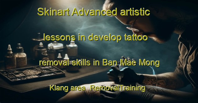 Skinart Advanced artistic lessons in develop tattoo removal skills in Ban Mae Mong Klang area | RemovalTraining | RemovalClasses | SkinartTraining-Thailand