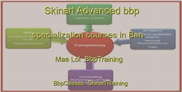 Skinart Advanced bbp specialization courses in Ban Mae Lot | BbpTraining | BbpClasses | SkinartTraining-Thailand