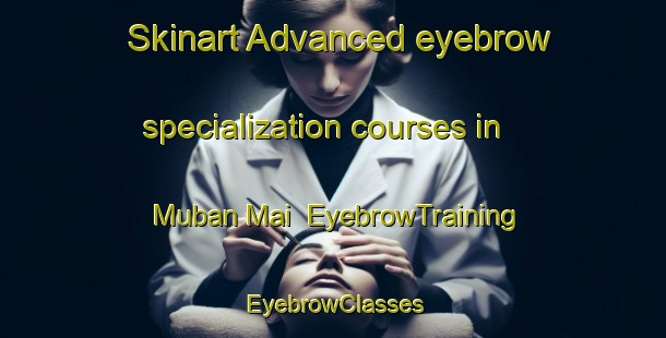 Skinart Advanced eyebrow specialization courses in Muban Mai | EyebrowTraining | EyebrowClasses | SkinartTraining-Thailand