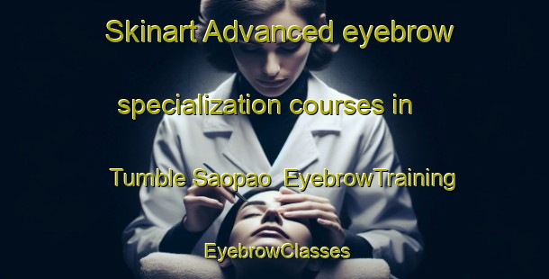 Skinart Advanced eyebrow specialization courses in Tumble Saopao | EyebrowTraining | EyebrowClasses | SkinartTraining-Thailand