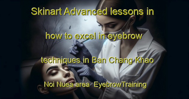 Skinart Advanced lessons in how to excel in eyebrow techniques in Ban Chang Khao Noi Nuea area | EyebrowTraining | EyebrowClasses | SkinartTraining-Thailand