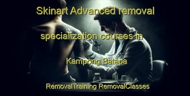 Skinart Advanced removal specialization courses in Kampong Batapa | #RemovalTraining #RemovalClasses #SkinartTraining-Thailand