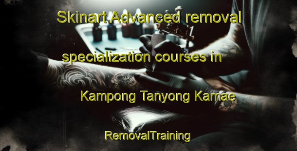 Skinart Advanced removal specialization courses in Kampong Tanyong Kamae | RemovalTraining | RemovalClasses | SkinartTraining-Thailand