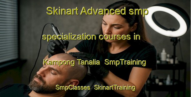 Skinart Advanced smp specialization courses in Kampong Tanalia | SmpTraining | SmpClasses | SkinartTraining-Thailand