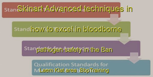 Skinart Advanced techniques in how to excel in bloodborne pathogen safety in the Ban Laem Klat area | BbpTraining | BbpClasses | SkinartTraining-Thailand