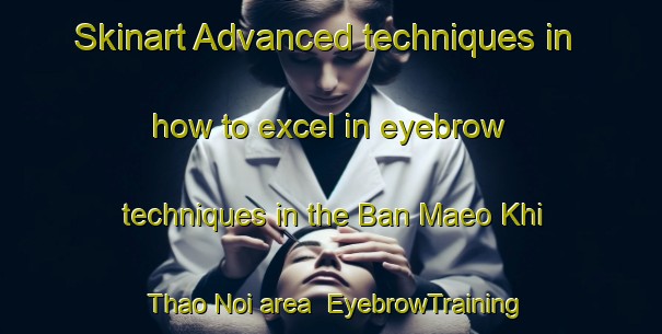 Skinart Advanced techniques in how to excel in eyebrow techniques in the Ban Maeo Khi Thao Noi area | EyebrowTraining | EyebrowClasses | SkinartTraining-Thailand