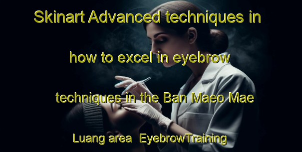 Skinart Advanced techniques in how to excel in eyebrow techniques in the Ban Maeo Mae Luang area | EyebrowTraining | EyebrowClasses | SkinartTraining-Thailand