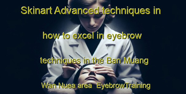 Skinart Advanced techniques in how to excel in eyebrow techniques in the Ban Muang Wan Nuea area | EyebrowTraining | EyebrowClasses | SkinartTraining-Thailand