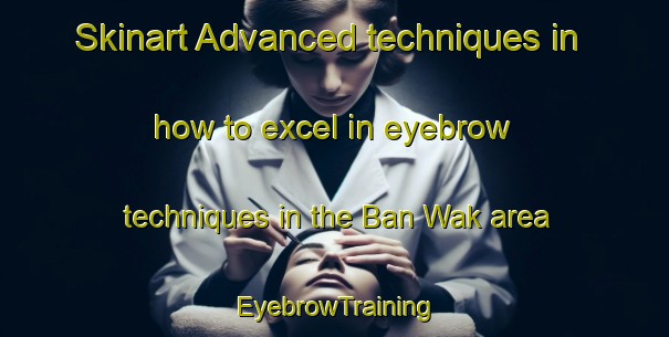 Skinart Advanced techniques in how to excel in eyebrow techniques in the Ban Wak area | EyebrowTraining | EyebrowClasses | SkinartTraining-Thailand