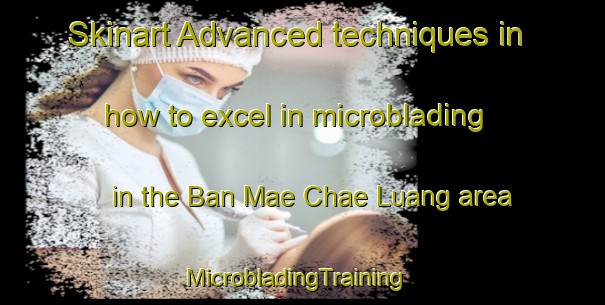 Skinart Advanced techniques in how to excel in microblading in the Ban Mae Chae Luang area | MicrobladingTraining | MicrobladingClasses | SkinartTraining-Thailand