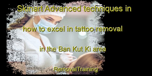 Skinart Advanced techniques in how to excel in tattoo removal in the Ban Kut Ki area | RemovalTraining | RemovalClasses | SkinartTraining-Thailand