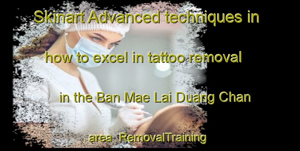 Skinart Advanced techniques in how to excel in tattoo removal in the Ban Mae Lai Duang Chan area | RemovalTraining | RemovalClasses | SkinartTraining-Thailand