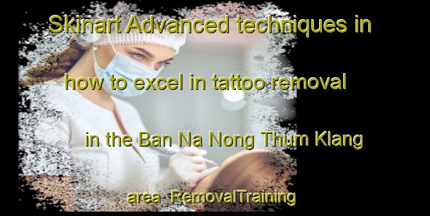 Skinart Advanced techniques in how to excel in tattoo removal in the Ban Na Nong Thum Klang area | RemovalTraining | RemovalClasses | SkinartTraining-Thailand