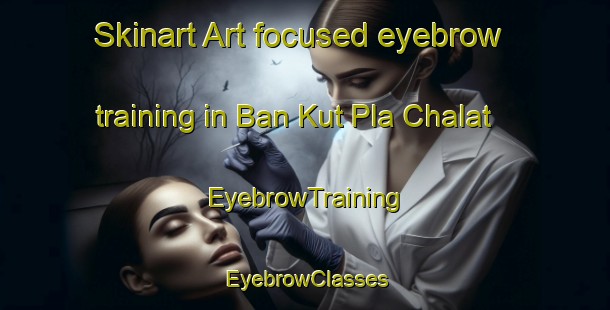 Skinart Art-focused eyebrow training in Ban Kut Pla Chalat | EyebrowTraining | EyebrowClasses | SkinartTraining-Thailand