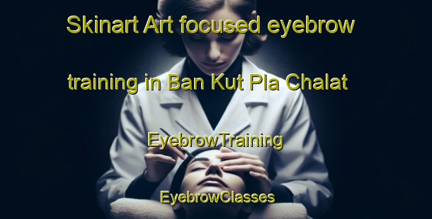 Skinart Art-focused eyebrow training in Ban Kut Pla Chalat | EyebrowTraining | EyebrowClasses | SkinartTraining-Thailand