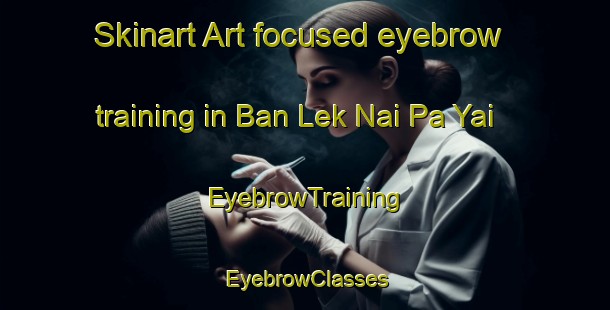 Skinart Art-focused eyebrow training in Ban Lek Nai Pa Yai | EyebrowTraining | EyebrowClasses | SkinartTraining-Thailand