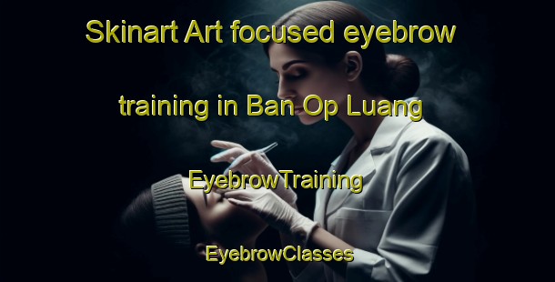 Skinart Art-focused eyebrow training in Ban Op Luang | EyebrowTraining | EyebrowClasses | SkinartTraining-Thailand