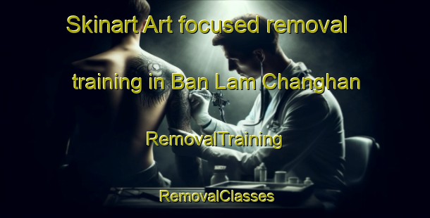 Skinart Art-focused removal training in Ban Lam Changhan | RemovalTraining | RemovalClasses | SkinartTraining-Thailand