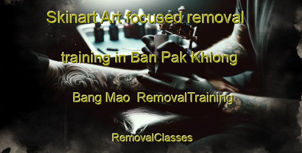 Skinart Art-focused removal training in Ban Pak Khlong Bang Mao | RemovalTraining | RemovalClasses | SkinartTraining-Thailand