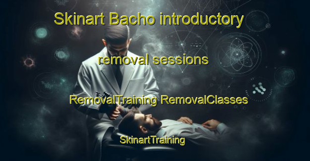 Skinart Bacho introductory removal sessions | #RemovalTraining #RemovalClasses #SkinartTraining-Thailand