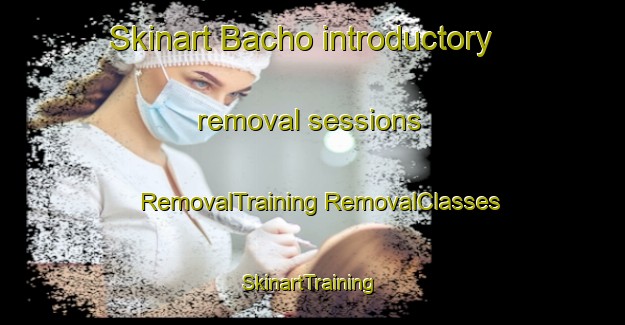 Skinart Bacho introductory removal sessions | #RemovalTraining #RemovalClasses #SkinartTraining-Thailand