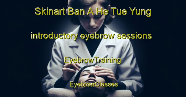 Skinart Ban A He Tue Yung introductory eyebrow sessions | EyebrowTraining | EyebrowClasses | SkinartTraining-Thailand