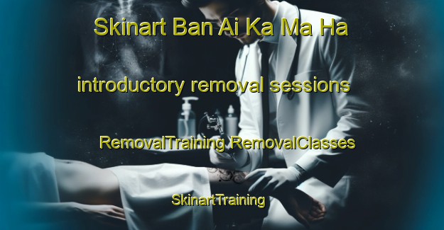 Skinart Ban Ai Ka Ma Ha introductory removal sessions | #RemovalTraining #RemovalClasses #SkinartTraining-Thailand