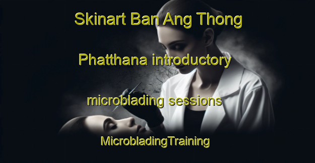 Skinart Ban Ang Thong Phatthana introductory microblading sessions | #MicrobladingTraining #MicrobladingClasses #SkinartTraining-Thailand