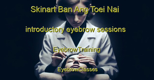 Skinart Ban Ang Toei Nai introductory eyebrow sessions | EyebrowTraining | EyebrowClasses | SkinartTraining-Thailand