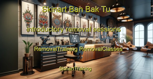 Skinart Ban Bak Tu introductory removal sessions | #RemovalTraining #RemovalClasses #SkinartTraining-Thailand