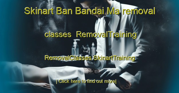 Skinart Ban Bandai Ma removal classes | #RemovalTraining #RemovalClasses #SkinartTraining-Thailand