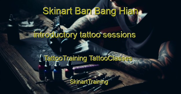 Skinart Ban Bang Hian introductory tattoo sessions | #TattooTraining #TattooClasses #SkinartTraining-Thailand