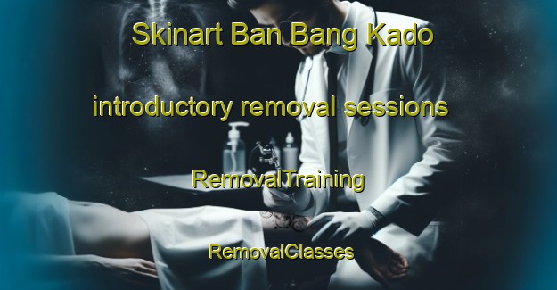 Skinart Ban Bang Kado introductory removal sessions | RemovalTraining | RemovalClasses | SkinartTraining-Thailand