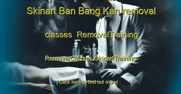 Skinart Ban Bang Kan removal classes | #RemovalTraining #RemovalClasses #SkinartTraining-Thailand