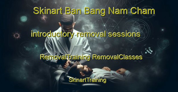 Skinart Ban Bang Nam Cham introductory removal sessions | #RemovalTraining #RemovalClasses #SkinartTraining-Thailand