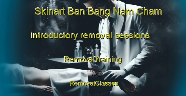 Skinart Ban Bang Nam Cham introductory removal sessions | RemovalTraining | RemovalClasses | SkinartTraining-Thailand