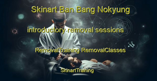 Skinart Ban Bang Nokyung introductory removal sessions | #RemovalTraining #RemovalClasses #SkinartTraining-Thailand