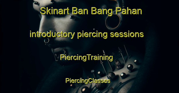 Skinart Ban Bang Pahan introductory piercing sessions | PiercingTraining | PiercingClasses | SkinartTraining-Thailand