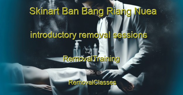 Skinart Ban Bang Riang Nuea introductory removal sessions | RemovalTraining | RemovalClasses | SkinartTraining-Thailand