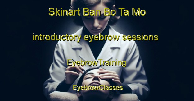 Skinart Ban Bo Ta Mo introductory eyebrow sessions | EyebrowTraining | EyebrowClasses | SkinartTraining-Thailand