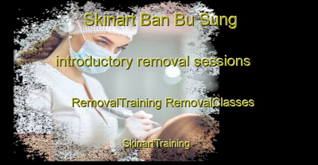 Skinart Ban Bu Sung introductory removal sessions | #RemovalTraining #RemovalClasses #SkinartTraining-Thailand