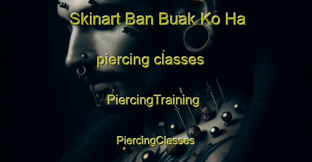 Skinart Ban Buak Ko Ha piercing classes | #PiercingTraining #PiercingClasses #SkinartTraining-Thailand