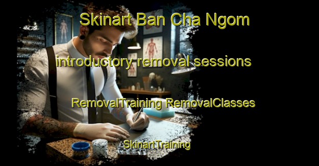 Skinart Ban Cha Ngom introductory removal sessions | #RemovalTraining #RemovalClasses #SkinartTraining-Thailand