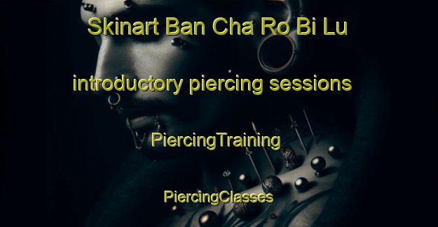 Skinart Ban Cha Ro Bi Lu introductory piercing sessions | #PiercingTraining #PiercingClasses #SkinartTraining-Thailand