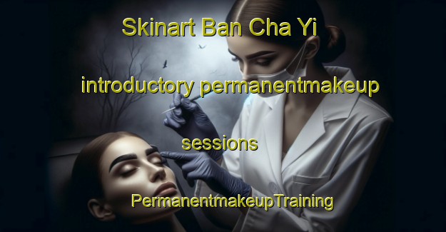 Skinart Ban Cha Yi introductory permanentmakeup sessions | #PermanentmakeupTraining #PermanentmakeupClasses #SkinartTraining-Thailand