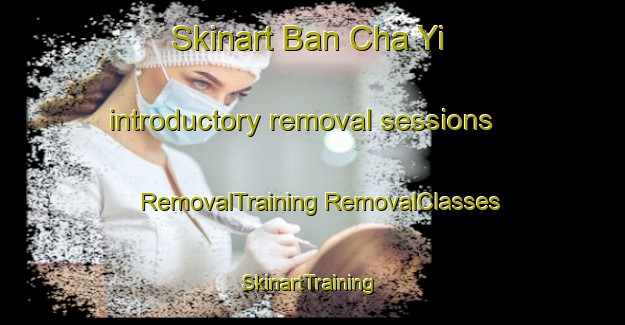 Skinart Ban Cha Yi introductory removal sessions | #RemovalTraining #RemovalClasses #SkinartTraining-Thailand