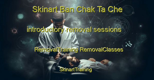 Skinart Ban Chak Ta Che introductory removal sessions | #RemovalTraining #RemovalClasses #SkinartTraining-Thailand