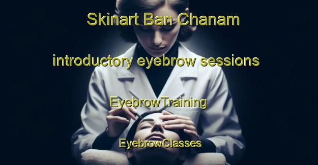 Skinart Ban Chanam introductory eyebrow sessions | EyebrowTraining | EyebrowClasses | SkinartTraining-Thailand