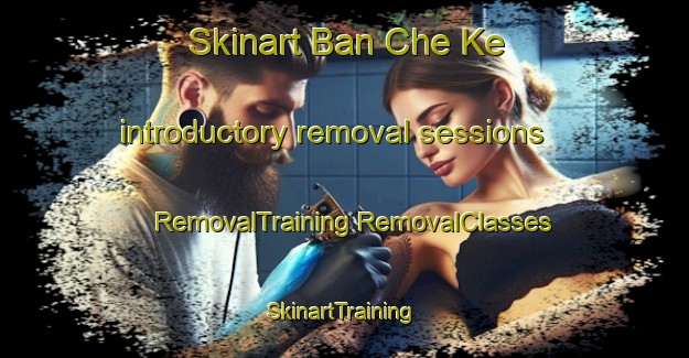 Skinart Ban Che Ke introductory removal sessions | #RemovalTraining #RemovalClasses #SkinartTraining-Thailand