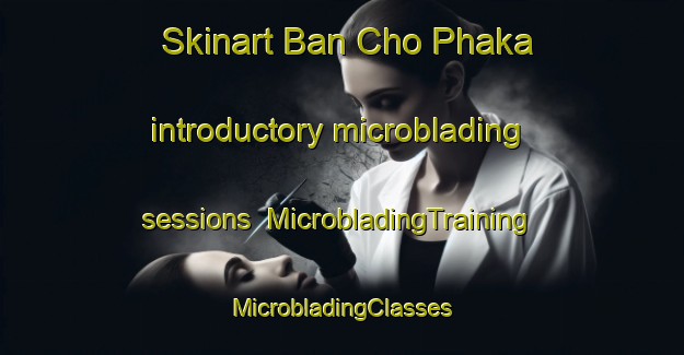 Skinart Ban Cho Phaka introductory microblading sessions | #MicrobladingTraining #MicrobladingClasses #SkinartTraining-Thailand